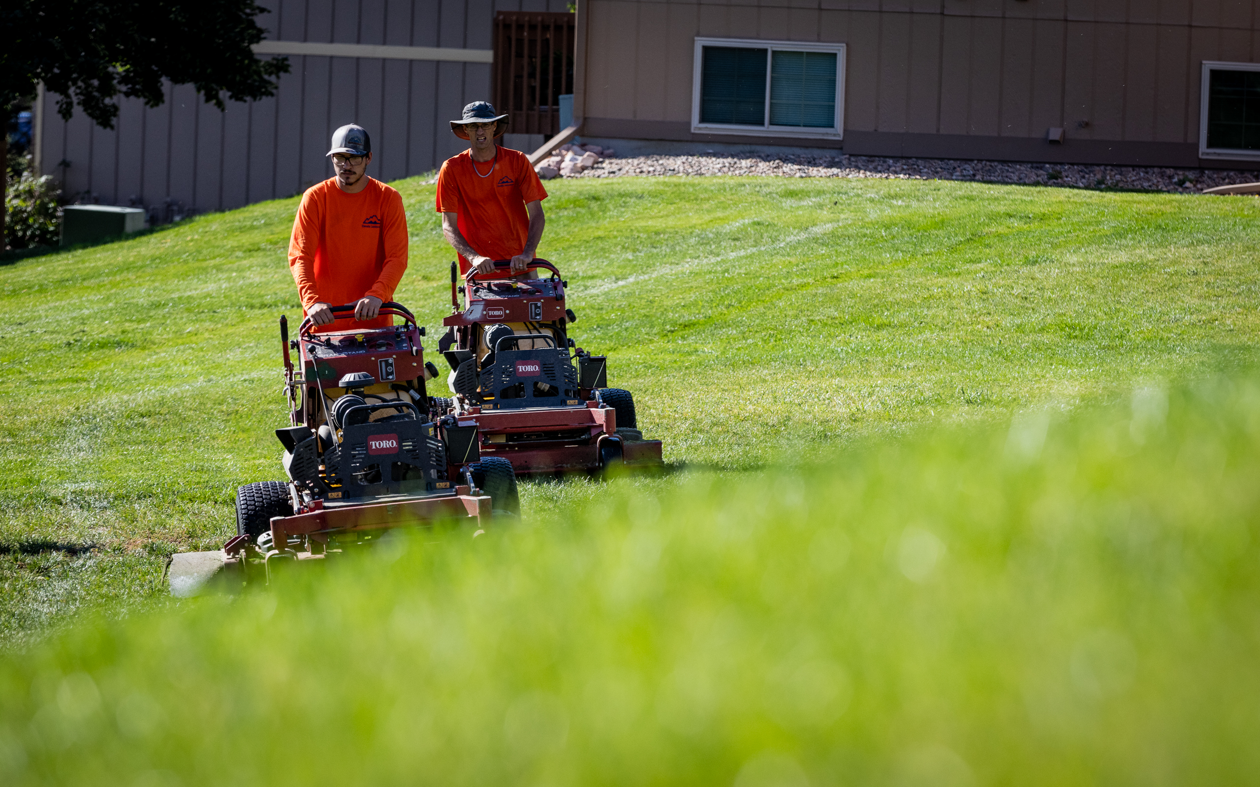 Landscape Maintenance That Actually Works: A Practical Guide for Property Managers and HOAs