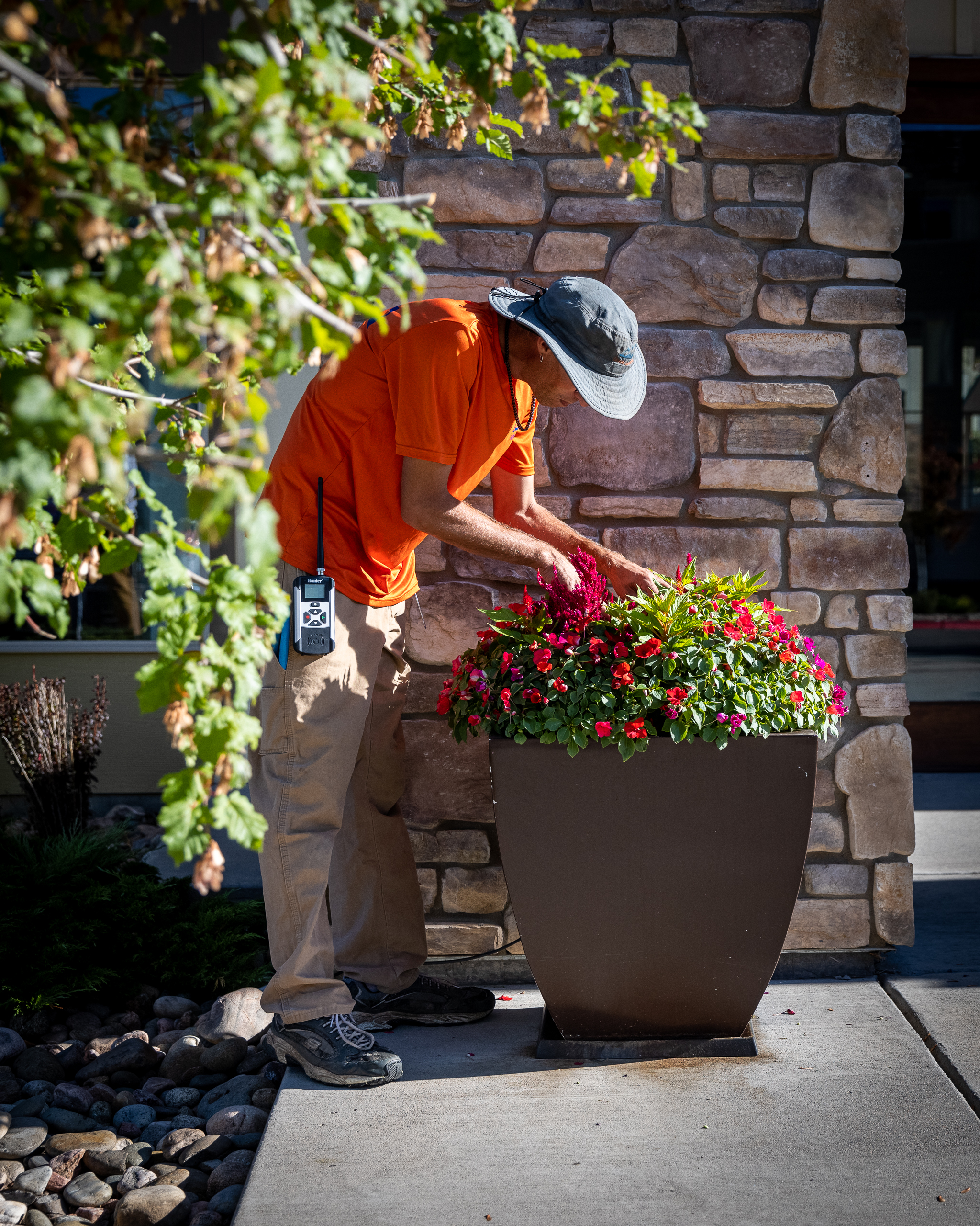 Winter Landscaping Services: What Property Managers Can Hire For Now (and Why It Sets Up a Better Spring)